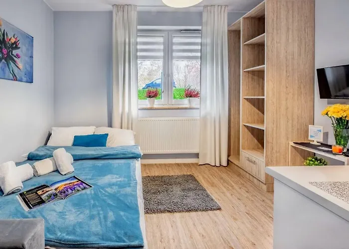 Apartament Novomiejska 17 *