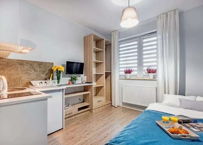 Apartament Novomiejska 17 *