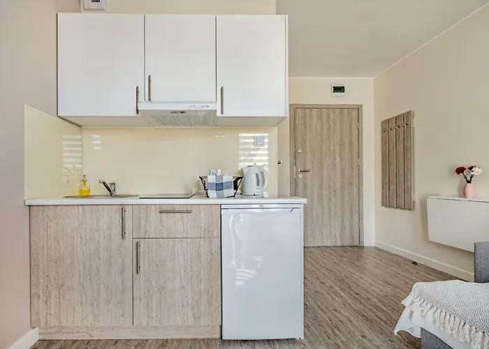 Apartament Novomiejska 17 *