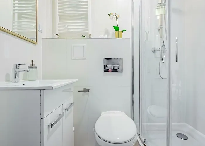 Apartament Novomiejska 17