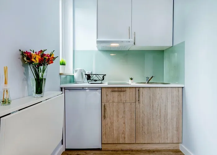 Apartament Novomiejska 17 *